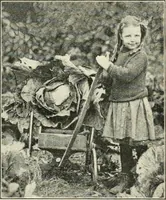 Picture 80 of 109 from Education by plays and games (1907), leaf 163
