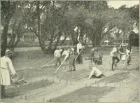 Picture 82 of 109 from Education by plays and games (1907), leaf 165