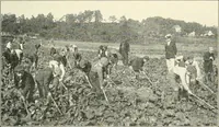 Picture 84 of 109 from Education by plays and games (1907), leaf 167