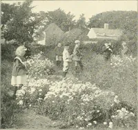 Picture 85 of 109 from Education by plays and games (1907), leaf 169