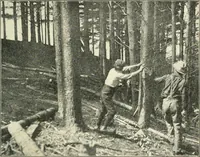 Picture 33 of 109 from Education by plays and games (1907), leaf 85