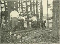 Picture 34 of 109 from Education by plays and games (1907), leaf 87