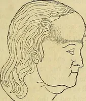 An illustration from Education and self-improvement, founded on physiology and phrenology : or, what constitutes good heads and bodies, and how to make them good, by enlarging deficiencies and diminishing excesses (1844)