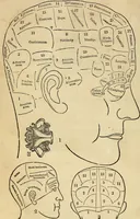 An illustration from Education and self-improvement, founded on physiology and phrenology : or, what constitutes good heads and bodies, and how to make them good, by enlarging deficiencies and diminishing excesses (1844)