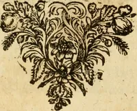 An illustration from Eduward Meltons, Engelsch edelmans, Zeldzaame en gedenkwaardige zee- en land-reizen; door Egypten, West-Indien, Perzien, Turkyen, Oost-Indien, en d'aangrenzende gewesten; (1681)