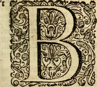 An illustration from Eduward Meltons, Engelsch edelmans, Zeldzaame en gedenkwaardige zee- en land-reizen; door Egypten, West-Indien, Perzien, Turkyen, Oost-Indien, en d'aangrenzende gewesten; (1681)