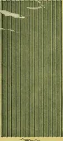 Picture 15 of 66 from Edwards buildings. (1900), leaf 11