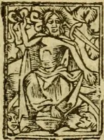 An illustration from Een devote maniere om gheestelyck pelgrimagie te trecken tot den heylighen lande als te Jherusalem, Bethleem, ter Jordanen, etc. : met die rechte gheleghentheyt der heyligher plaetsen, so bescheelijck beschreuen al ost mense voor ooghen saghe (1563)