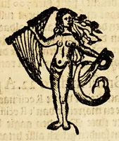 An illustration from Eenige advijsen ende verklaringhen uyt Brasilien. In dato den 19. Mey 1648. Van't gepasseerde (1648)