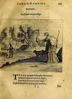 Picture 13 of 20 from Eerlycke tytkorting, bestaende in verscheyde rymen (1634), leaf 249
