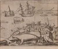 An illustration from Eerste[-derde] schip-vaert der Hollanderen nae de Oost-Indien door de Waygats, by - Noorden Noorweghen, Moscovien ende Tartarien: zijnde verrijckt met een beschryvinge veeler aengrenfende landen, noyt in eenige voorige (1648)