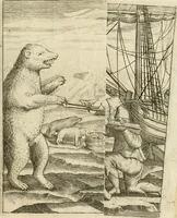 An illustration from Eerste[-derde] schip-vaert der Hollanderen nae de Oost-Indien door de Waygats, by - Noorden Noorweghen, Moscovien ende Tartarien: zijnde verrijckt met een beschryvinge veeler aengrenfende landen, noyt in eenige voorige (1648)
