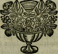 An illustration from Catalogue raisonné des differens effets curieux & rares contenus dans le cabinet de feu M. le chevalier de La Roque : ce cabinet renferme une collection considerable de tableaux, de desseins, & d'estampes des meilleurs maîtres; de figures de bronze & de marbre; de porcelaines anciennes ... de pierres ... de coquilles, & enfin de nombre d'autres morceaux interressans de divers genres (1745)