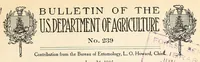 Picture 1 of 8 from The eggplant lace-bug (1915), leaf 3