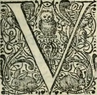 An illustration from Eglentiers poëtens borst-weringh (1619)
