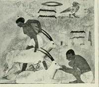 An illustration from Égypte (1911)