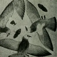 An illustration from Égypte (1911)