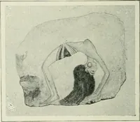 An illustration from Égypte (1911)