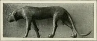 An illustration from Égypte (1911)