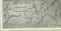 An illustration from Égypte (1911)