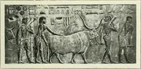 An illustration from Égypte (1911)