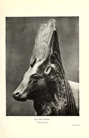 Picture 9 of 18 from Egyptian art. Studies (1913), leaf 169