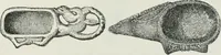 Picture 68 of 201 from Egyptian ceramic art : the MacGregor collection ; a contribution towards the history of Egyptian pottery (1898), leaf 77