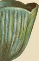 Picture 70 of 201 from Egyptian ceramic art : the MacGregor collection ; a contribution towards the history of Egyptian pottery (1898), leaf 80