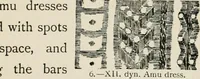 Picture 3 of 86 from Egyptian decorative art : a course of lectures delivered at the Royal Institution /by W.M. Flinders Petrie (1920), leaf 30
