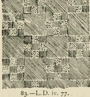 An illustration from Egyptian decorative art : a course of lectures delivered at the Royal Institution /by W.M. Flinders Petrie (1920)