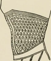 An illustration from Egyptian decorative art : a course of lectures delivered at the Royal Institution /by W.M. Flinders Petrie (1920)