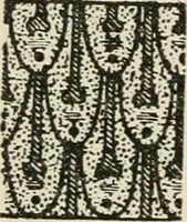 An illustration from Egyptian decorative art : a course of lectures delivered at the Royal Institution /by W.M. Flinders Petrie (1920)