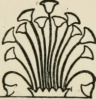 An illustration from Egyptian decorative art : a course of lectures delivered at the Royal Institution /by W.M. Flinders Petrie (1920)