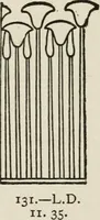 An illustration from Egyptian decorative art : a course of lectures delivered at the Royal Institution /by W.M. Flinders Petrie (1920)