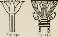 An illustration from Egyptian decorative art : a course of lectures delivered at the Royal Institution /by W.M. Flinders Petrie (1920)