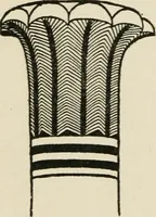 An illustration from Egyptian decorative art : a course of lectures delivered at the Royal Institution /by W.M. Flinders Petrie (1920)