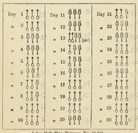 Picture 17 of 17 from Egyptian magic (1899), leaf 249