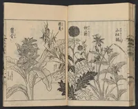 An illustration from Ehon noyamagusa (1755)