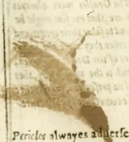 An illustration from Eight bookes of the Peloponnesian Warre (1634)