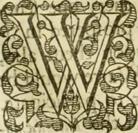 Picture 28 of 28 from Eight bookes of the Peloponnesian Warre (1634), leaf 514