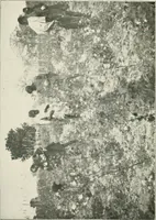 An illustration from The eighth International Congress of Delegated Representatives of Master Cotton Spinners' and Manufacturers' Associations, held in the halls of the University, Barcelona, May 8th, 9th, and 10th, 1911 (1911)