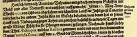 An illustration from Eilffter Theil der Orientalischen Indien, darinnen erstlich begriffenwerden zwo Schiffahrten Herrn Americi Vesputii, welche er auss Befehl Königs Emanuelis von Portugall anno 1501. in Ost Indien vorgenommen. : Zum andern, ein warhafftiger vnd zuvor nie erhörter Bericht eines Englischen, welcher, nach dem er in einem Schiff, die Auffahrt genandt, in Cambaja dem eussersten Theil Ost Indiens Schiffbruchgelidten, zu Land durch viele vnbekandte Königreich vnd grosse Stätte gereiset, vnd was ihme vberall begegnet vnd zuhanden gestossen. Zum dritten, ein historische Beschreibung von Erfindung vnd Beschaffenheit der Landschafft Spitzberg, &c. Item, ein kurtze Erzehlung, was alle andere Fischer Anno 1613. von den Englischen erlidten, neben angehängter Protestation, wider der Engelländer angemassten Erbgerechtigkeit, vber gedachte Landschaft Spitzberg, &c. (1618)
