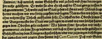 Picture 5 of 16 from Eilffter Theil der Orientalischen Indien, darinnen erstlich begriffenwerden zwo Schiffahrten Herrn Americi Vesputii, welche er auss Befehl Königs Emanuelis von Portugall anno 1501. in Ost Indien vorgenommen. : Zum andern, ein warhafftiger vnd zuvor nie erhörter Bericht eines Englischen, welcher, nach dem er in einem Schiff, die Auffahrt genandt, in Cambaja dem eussersten Theil Ost Indiens Schiffbruchgelidten, zu Land durch viele vnbekandte Königreich vnd grosse Stätte gereiset, vnd was ihme vberall begegnet vnd zuhanden gestossen. Zum dritten, ein historische Beschreibung von Erfindung vnd Beschaffenheit der Landschafft Spitzberg, &c. Item, ein kurtze Erzehlung, was alle andere Fischer Anno 1613. von den Englischen erlidten, neben angehängter Protestation, wider der Engelländer angemassten Erbgerechtigkeit, vber gedachte Landschaft Spitzberg, &c. (1618), leaf 34
