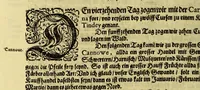 An illustration from Eilffter Theil der Orientalischen Indien, darinnen erstlich begriffenwerden zwo Schiffahrten Herrn Americi Vesputii, welche er auss Befehl Königs Emanuelis von Portugall anno 1501. in Ost Indien vorgenommen. : Zum andern, ein warhafftiger vnd zuvor nie erhörter Bericht eines Englischen, welcher, nach dem er in einem Schiff, die Auffahrt genandt, in Cambaja dem eussersten Theil Ost Indiens Schiffbruchgelidten, zu Land durch viele vnbekandte Königreich vnd grosse Stätte gereiset, vnd was ihme vberall begegnet vnd zuhanden gestossen. Zum dritten, ein historische Beschreibung von Erfindung vnd Beschaffenheit der Landschafft Spitzberg, &c. Item, ein kurtze Erzehlung, was alle andere Fischer Anno 1613. von den Englischen erlidten, neben angehängter Protestation, wider der Engelländer angemassten Erbgerechtigkeit, vber gedachte Landschaft Spitzberg, &c. (1618)