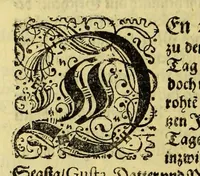 An illustration from Eilffter Theil der Orientalischen Indien, darinnen erstlich begriffenwerden zwo Schiffahrten Herrn Americi Vesputii, welche er auss Befehl Königs Emanuelis von Portugall anno 1501. in Ost Indien vorgenommen. : Zum andern, ein warhafftiger vnd zuvor nie erhörter Bericht eines Englischen, welcher, nach dem er in einem Schiff, die Auffahrt genandt, in Cambaja dem eussersten Theil Ost Indiens Schiffbruchgelidten, zu Land durch viele vnbekandte Königreich vnd grosse Stätte gereiset, vnd was ihme vberall begegnet vnd zuhanden gestossen. Zum dritten, ein historische Beschreibung von Erfindung vnd Beschaffenheit der Landschafft Spitzberg, &c. Item, ein kurtze Erzehlung, was alle andere Fischer Anno 1613. von den Englischen erlidten, neben angehängter Protestation, wider der Engelländer angemassten Erbgerechtigkeit, vber gedachte Landschaft Spitzberg, &c. (1618)