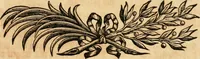 Picture 19 of 19 from Eine Collection curieuser Vorstellungen in Illuminationen und Feuer-Wercken : so in denen Jahren 1724 biss 1728 inclusivè, bey Gelegenheit einiger publiquen Festins und Rejouïssances, in Hamburg und mehrentheils auf dem Schau-Platze daselbst, unter der Direction und von der Invention Thomas Lediard's ... sind vorgestellet worden : in sechszehn grossen Kupfer-Platen sauber gestochen, und auff das accurateste abgebildet, nebst derselben besondern, vollkommenen und ausführlichen Beschreibungen, in welchen etliche Hundert dabey vorgestellte Sinn-Bilder, nebst dazu gehörigen Lateinischen, und in Teutschen Versen explicirten, emblematischen, und andern Inscriptionibus und Titeln enthalten (1730), leaf 78