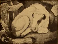 Picture 146 of 149 from Einfuhrung in die moderne Kunst (1917), leaf 152