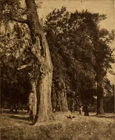 Picture 65 of 149 from Einfuhrung in die moderne Kunst (1917), leaf 82