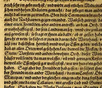 An illustration from Ein neuwe, kurtze, doch warhafftige Beschreibung dess gar grossmächtigen weitbegriffenen, bisshero vnbekandten Königreichs China: seiner fünffzehen gewaltigen Prouincien ... (1589)