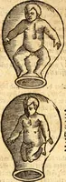 An illustration from Ein newer Albertus Magnus. Von Weybern vnd Geburten der Kinder, sampt jhren Artzneyen. Auch von Tugenden etlicher fürnemer Kreüter, vnd von Krafft der Edlen Gestein. Von art vnd Natur etlicher Thier. Mit sampt einem bewerten Regiment für die Pestilentz. Alles auffs new gebessert, durch Q. Apollinarem (1602)